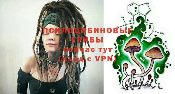 сатива Алексеевка