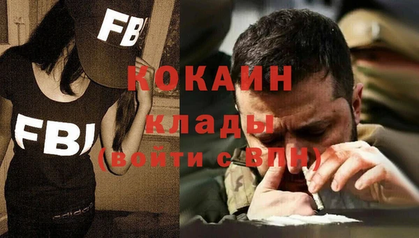 твердый Фёдоровский